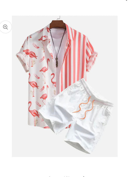 Men's Casual 3D Printed Hawaiian Shirt and Shorts Set